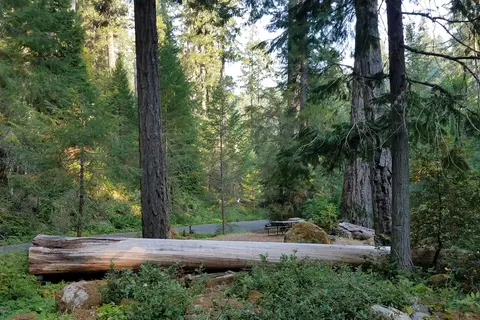 Cave Creek Campground - Oregon Caves NM