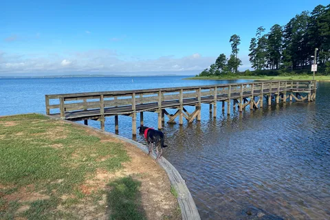 Pleasure Point - State Recreation Area