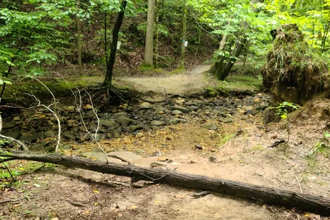 William B Umstead State Park