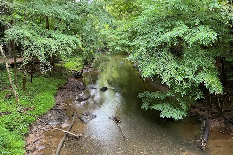 William B Umstead State Park