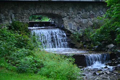 Chenango Valley State Park