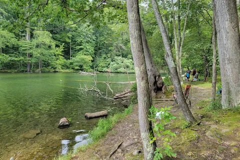 Chenango Valley State Park