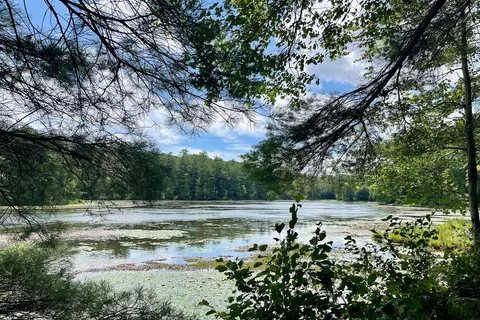 Chenango Valley State Park
