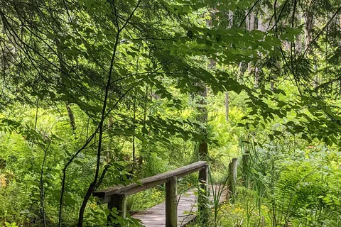 Chenango Valley State Park