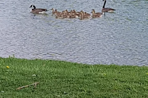 Spring Lake RV Resort