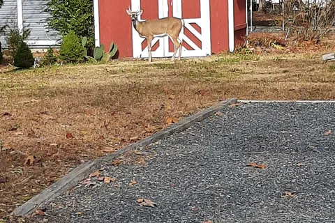 Trails End Campground Resort