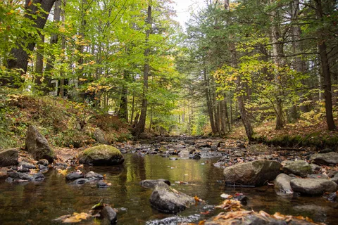 Ames Brook Campground