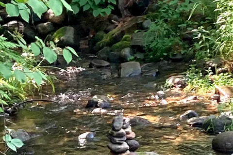 Ames Brook Campground