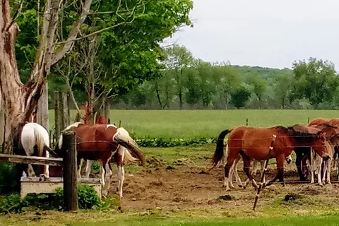 Double R Ranch