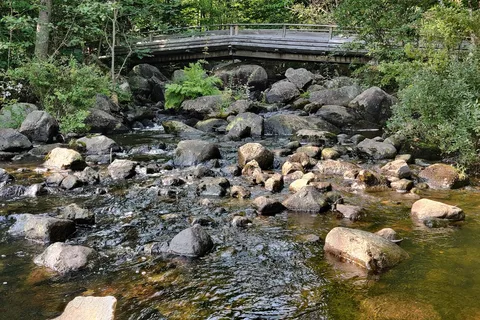 Stillwater State Park