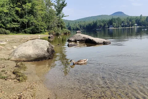 Stillwater State Park