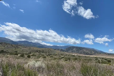 Lower Scrub Oaks - Hungry Valley State Vehicular Recreation Area