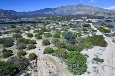 Lower Scrub Oaks - Hungry Valley State Vehicular Recreation Area