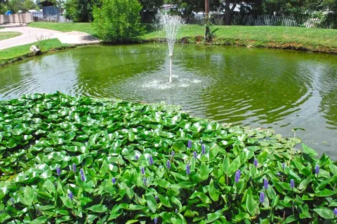 Fredericksburg RV Park