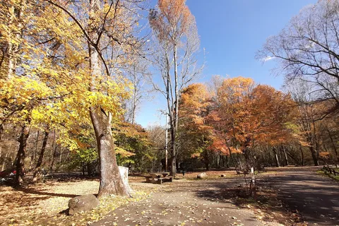 Gee Creek Campground