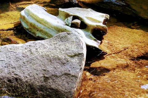 Gee Creek Campground