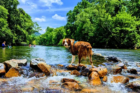 Gee Creek Campground
