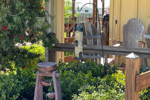 Magnolia Farms RV Park