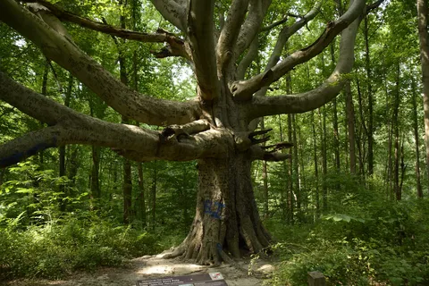 Susquehanna State Park