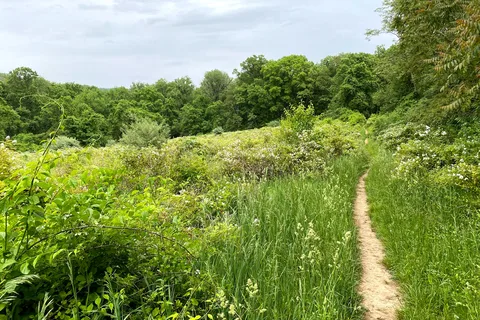 Susquehanna State Park