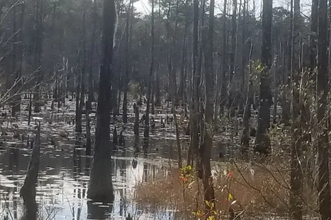 Magic River Resort