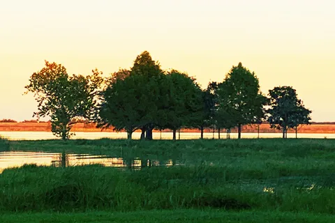 Coleto Creek Reservoir and Park Guadalupe-Blanco River Auth