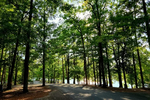 Lincoln Parish Park