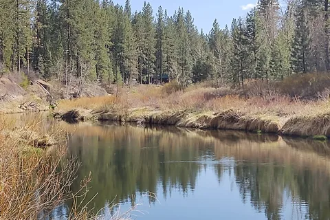 Little Bear RV Park