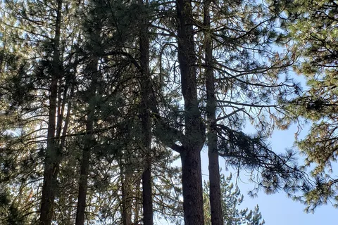 Little Bear RV Park