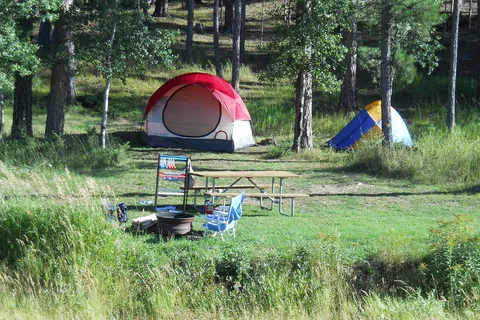 Custer's Gulch RV Park and Campground