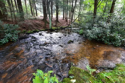 Raymond B Winter State Park