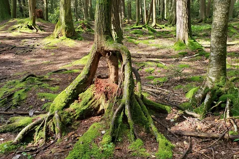 Raymond B Winter State Park