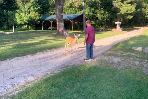 Camp Itasca