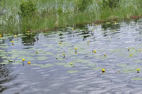 Twin Lakes - Crimson Lake Provincial Park