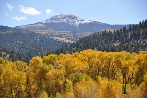 Chinook Cabins & RV Park