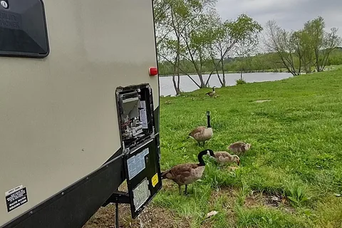 Big Shoal RV Country