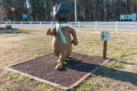 Yogi Bear’s Jellystone Park™ Camp-Resort: Delaware Beaches