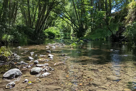 Mandala Springs - Wellness Retreat Center