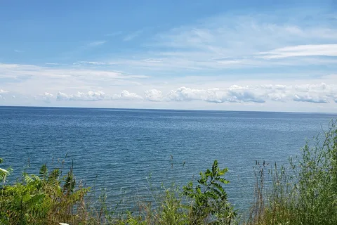 Wildwood By The Lake