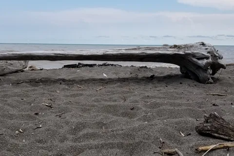 Wildwood By The Lake