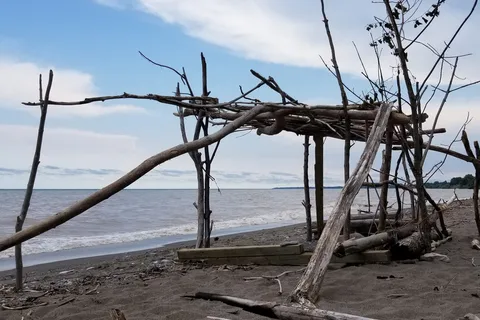 Wildwood By The Lake