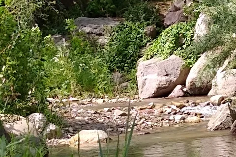 Lightner Creek Campground and Cabins