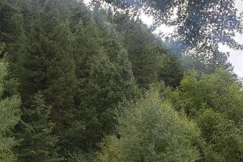 Lightner Creek Campground and Cabins
