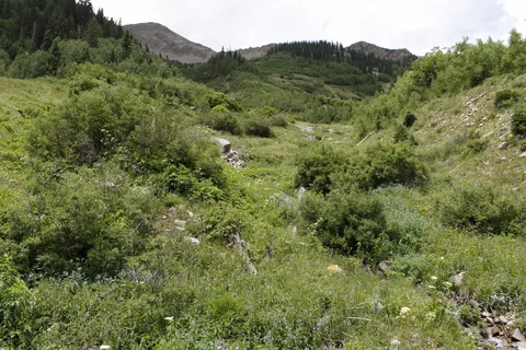 Lightner Creek Campground and Cabins
