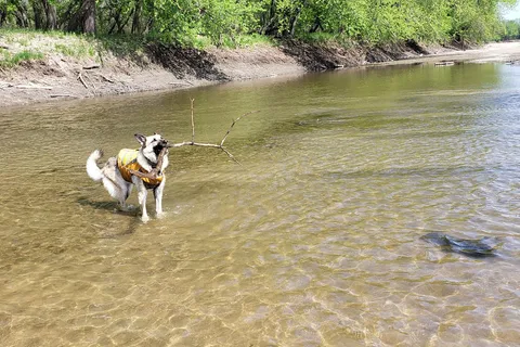 Walnut Woods State Park