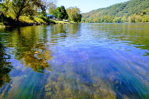 New River Junction Campground