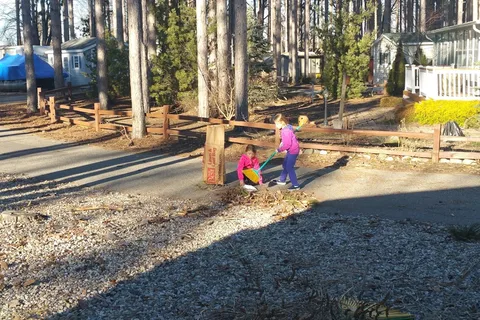 Sandy Pines RV Resort and Campground