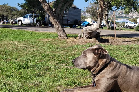 North Beach - Pismo State Beach