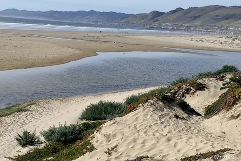 North Beach - Pismo State Beach