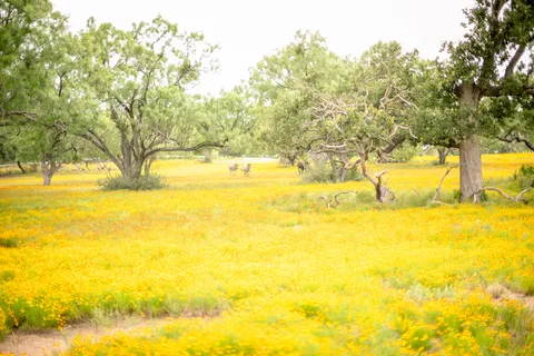Freedom Lives RV Ranch Resort